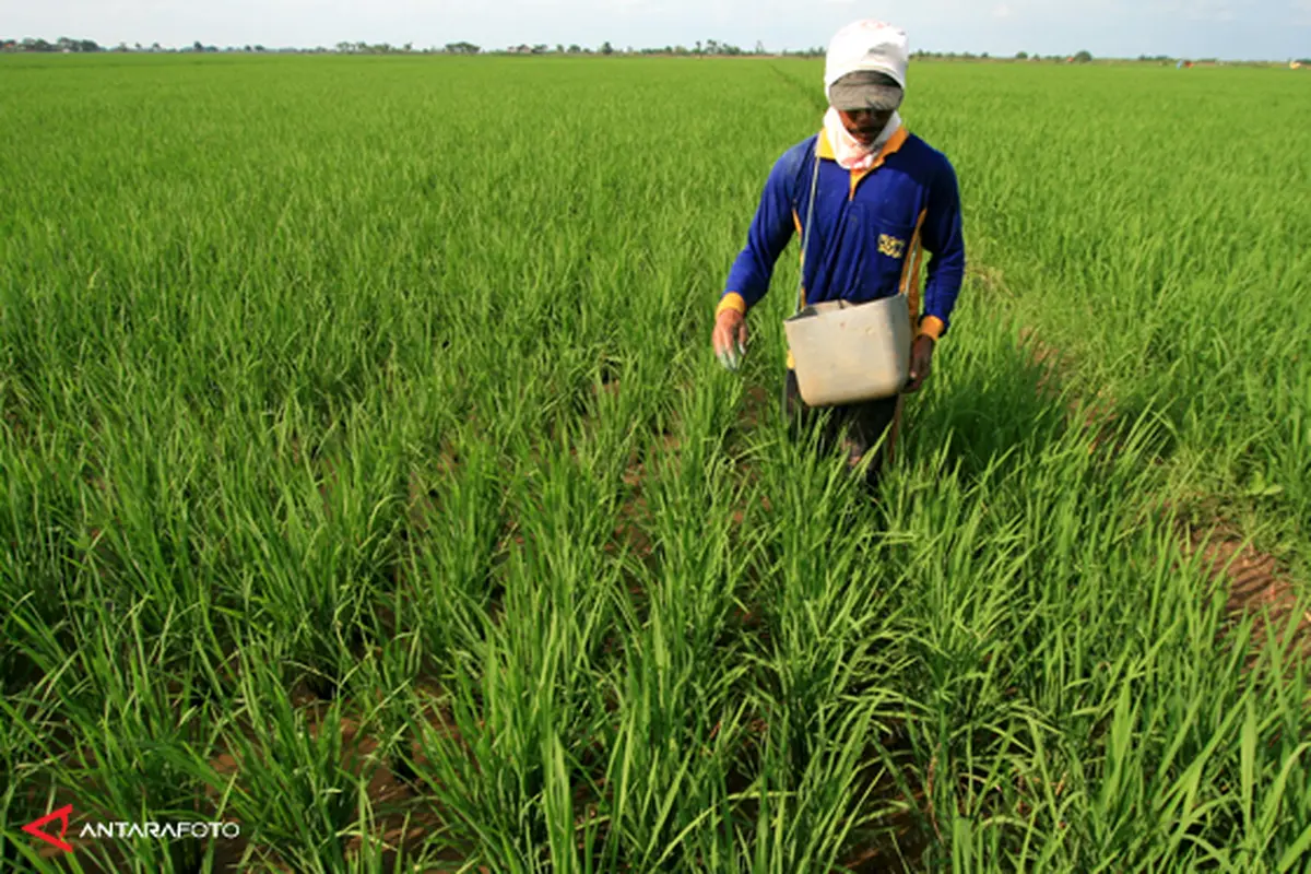 lahan-petani-130610b.jpg