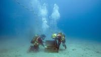 Penyelam mengambil botol anggur yang disimpan di dasar Laut Mediterania, Saint-Mandrier di Prancis, setelah percobaan penyimpanan satu tahun, 15 Mei 2017. Percobaan guna mengetahui dampak jika botol anggur itu disimpan lama di dalam air (Boris HORVAT/AFP)