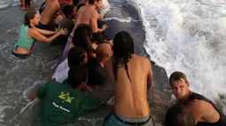 Puluhan wisatawan dan penduduk berusaha untuk membawa Ikan paus yang terdampar itu kembali ke laut, Pantai Popoyo, Nicaragua, Jumat (14/11/2014) (AFP Photo/Inti Ocon)