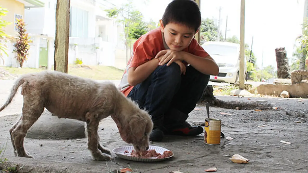 Foto: copyright huffingtonpost.com