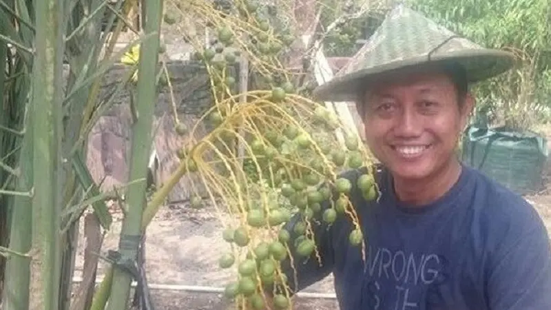 Cerita Kebun Buah Kurma Nabi di Bantul Yogyakarta