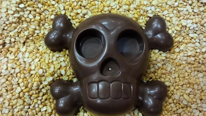 Hasil foto macro dari kamera belakang Redmi Note 8 Pro (Foto: Andina Librianty/Liputan6.com)