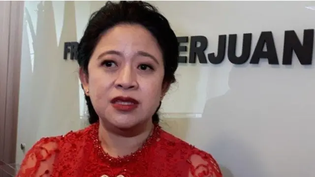Puan Dorong Pemerintah Bentuk Satgas Kekerasan Seksual di Setiap Instansi