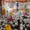 Peternak memberi makan ayam pedaging broiler di kawasan Cipelang, Bogor, Jawa Barat, Selasa (24/7). Tingginya harga daging ayam juga dipengaruhi oleh kenaikan harga pakan yang masih import seiring kenaikan dolar terhadap rupiah. (Merdeka.com/Arie Basuki)