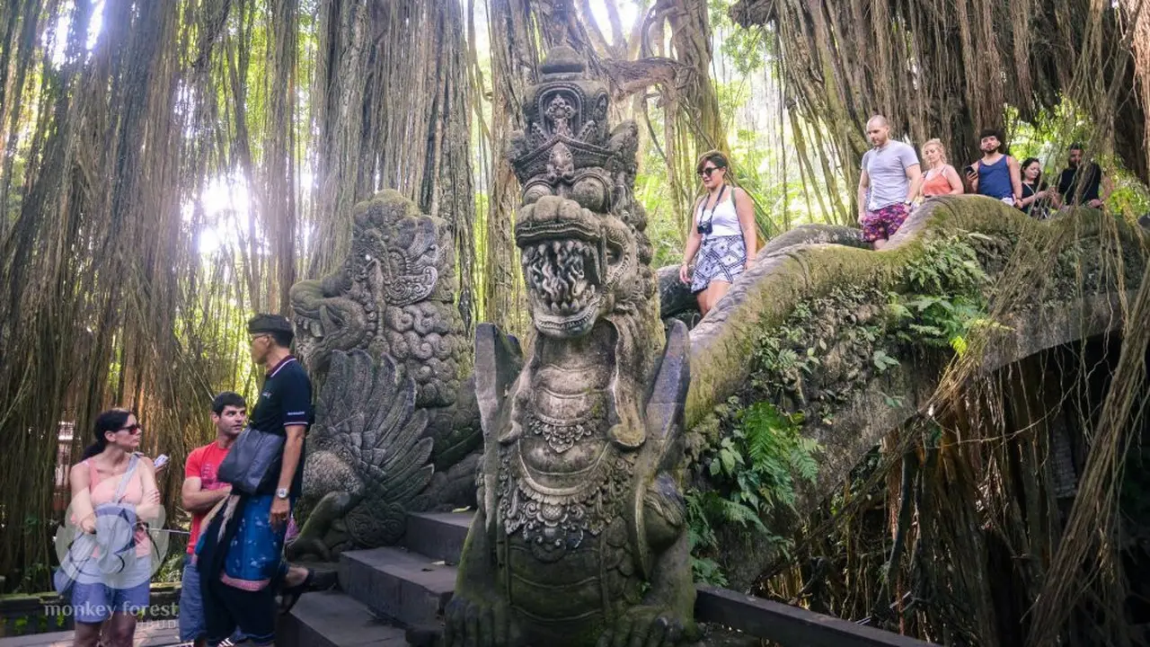 Monkey forest
