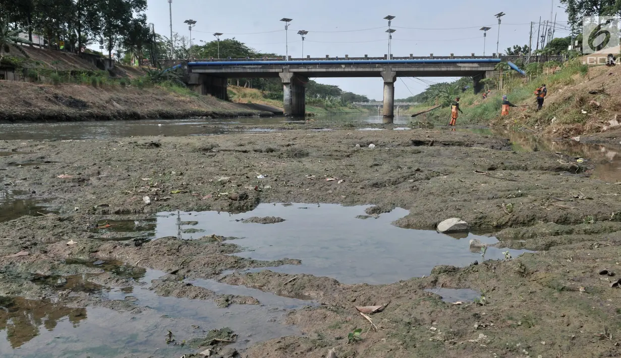 Pemandangan aliran Kanal Banjir Timur, Jakarta, Rabu (7/8/2019). Kemarau berkepanjangan mengakibatkan debit air Kanal Banjir Timur menyusut hingga dasar aliran terlihat. (merdeka.com/Iqbal Nugroho)