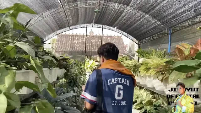 Potret Halaman Belakang Rumah Soimah di Jogja