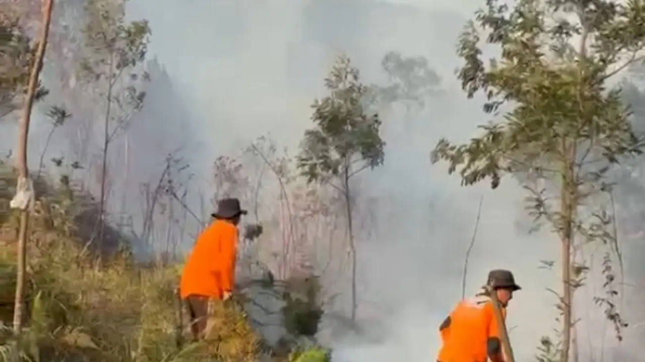 Petugas berjibaku memadamkan kebakaran Lawu