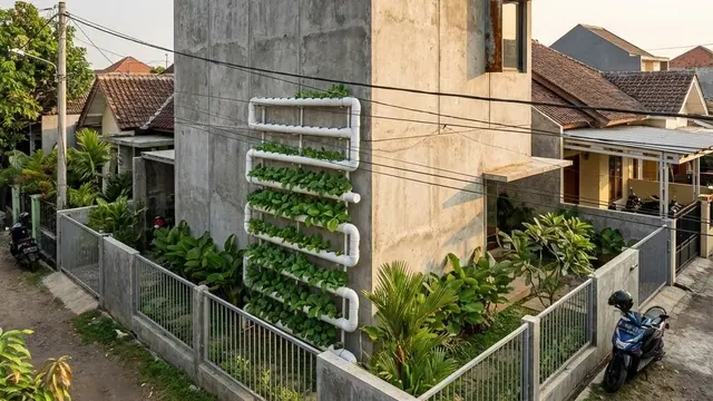 Model Rumah Kecil dengan Halaman Luas untuk Berkebun