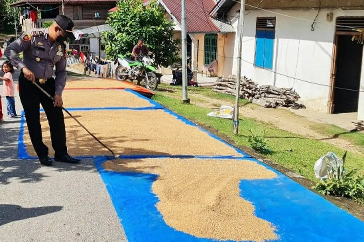 Kapolsek di jajaran Polda Riau menjaga gabah warga yang sedang ikuti vaksinasi massal di Kabupaten Kuansing.