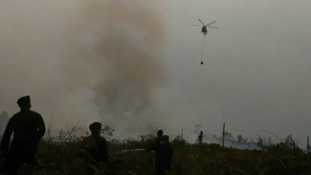 kebakaran hutan riau