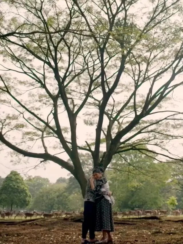 Potret Maternity Shoot Erina Gudono dan Kaesang Pangarep