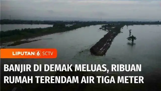 Banjir di Kabupaten Demak, Jawa Tengah, semakin meluas ke 88 desa di 11 kecamatan. Intensitas hujan yang tinggi membuat sejumlah tanggul di Sungai Wulan jebol. Dan merendam lebih dari 12 ribu rumah warga dengan ketinggian di sejumlah tempat hingga 3 ...