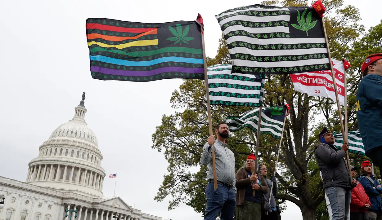 Sejumlah aktivis mengibarkan bendera yang bergambar daun ganja di dekat gedung Capitol di Washington (24/4). Mereka menggelar aksi tersebut untuk  mendukung legalisasi ganja. (AP Photo/Alex Brandon)