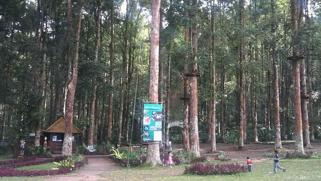 Paket Wisata Keluarga ke Bali