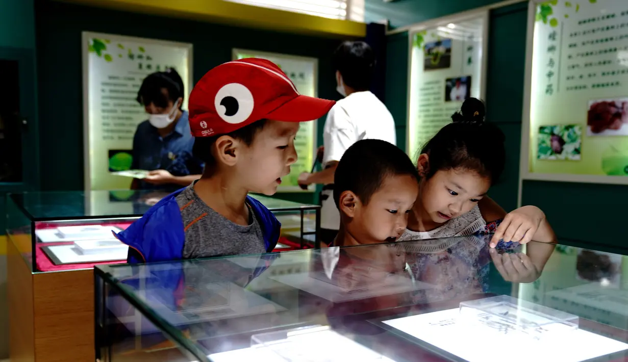 Anak-anak mengunjungi Museum Entomologi Shanghai di Shanghai, China timur (24/8/2020). Selama Festival Sains Shanghai yang berlangsung dari 23-29 Agustus, Museum Entomologi Shanghai akan menyuguhkan livestreaming tentang sains, pengalaman interaktif. (Xinhua/Zhang Jiansong)