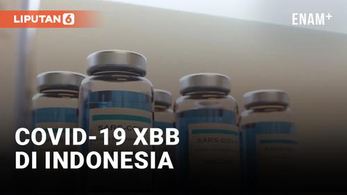 VIDEO: Ada 48 Kasus Covid-19 Subvarian XBB di Indonesia