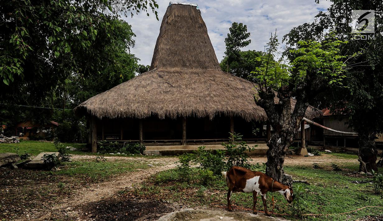 FOTO: Terpesona Keelokan Sumba Timur - Lifestyle Liputan6.com