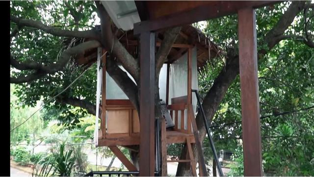 Ada Rumah Pohon, Ini 8 Potret Kediaman Cakra Khan yang Bernuansa Seni