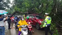 Sebuah mobil minibus tertimpa pohon tumbang di Jalan Outer Ring Road Cengkareng Timur, Jakarta Barat. (Liputan6.com/Ady Anugrahadi)