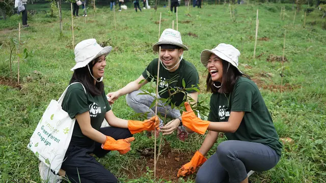Menghutankan Kembali Daerah Sungai Ciliwung dengan Menanam 6000 Pohon