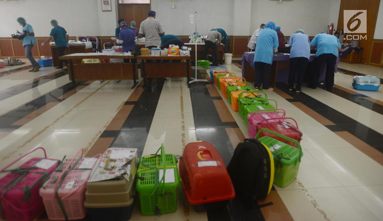 Kandang hewan peliharaan jenis kucing berjejer saat mengikuti program kastrasi atau pengebirian di Kecamatan Duren Sawit, Jakarta, Rabu (28/3). Sebanyak 75 ekor kucing peliharaan mengikuti program kastrasi atau pengebirian. (Merdeka.com/Imam Buhori)