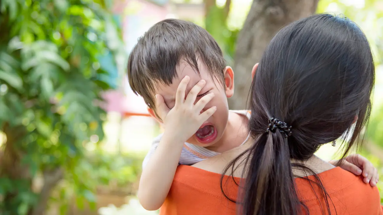 anak digigit hewan rabies