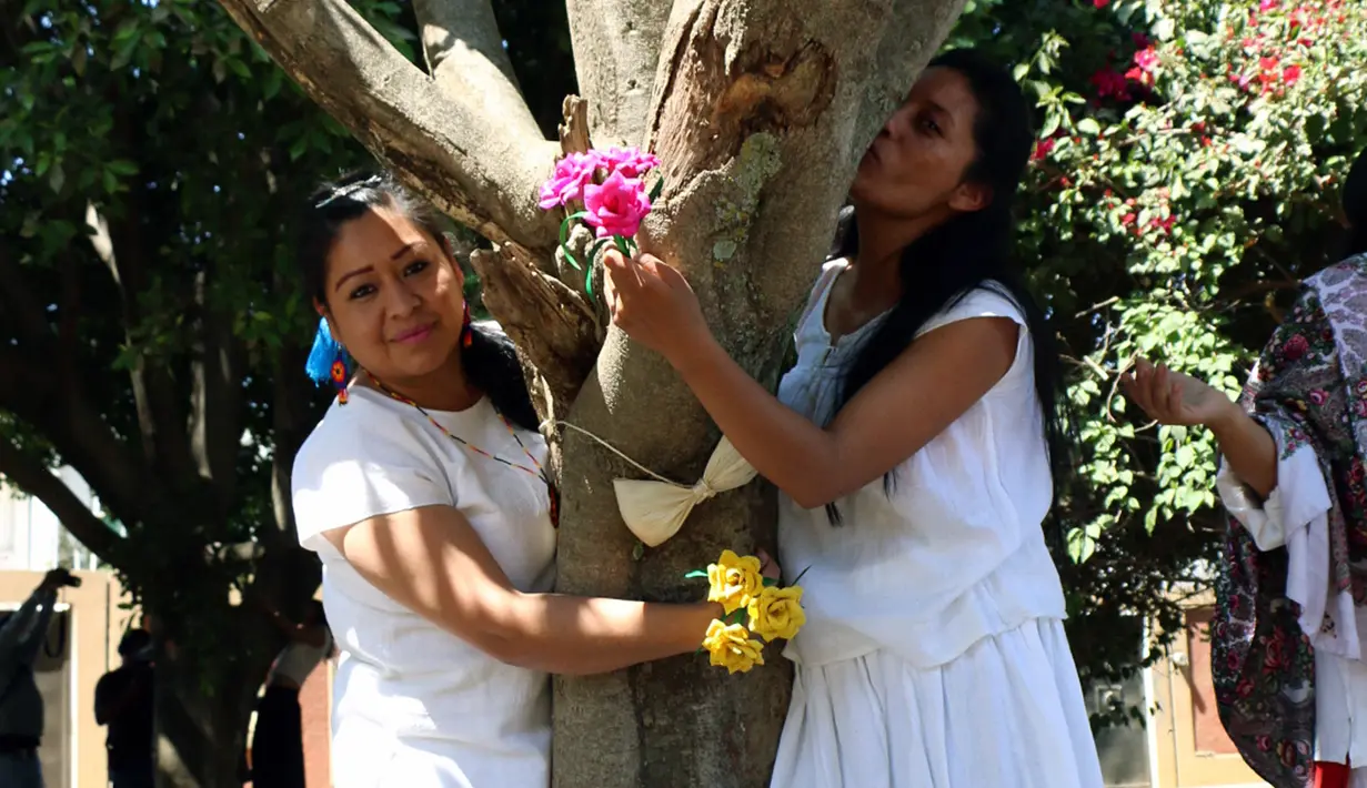 Aktivis lingkungan berpakaian pengantin memeluk dan mencium pohon di San Jacinto Amilpas, Oaxaca, Meksiko, Minggu (25/2). Acara ini digelar untuk meningkatkan kesadaran dan menghentikan pembalakan liar. (AFP FOTO/PATRIKIA CASTELLANOS)