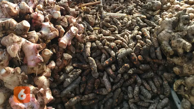 Rempah-Rempah Jamu