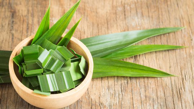 Manfaat lain Daun Pandan yang Berguna Bagi Kesehatan Wajah dan Kulit Kamu