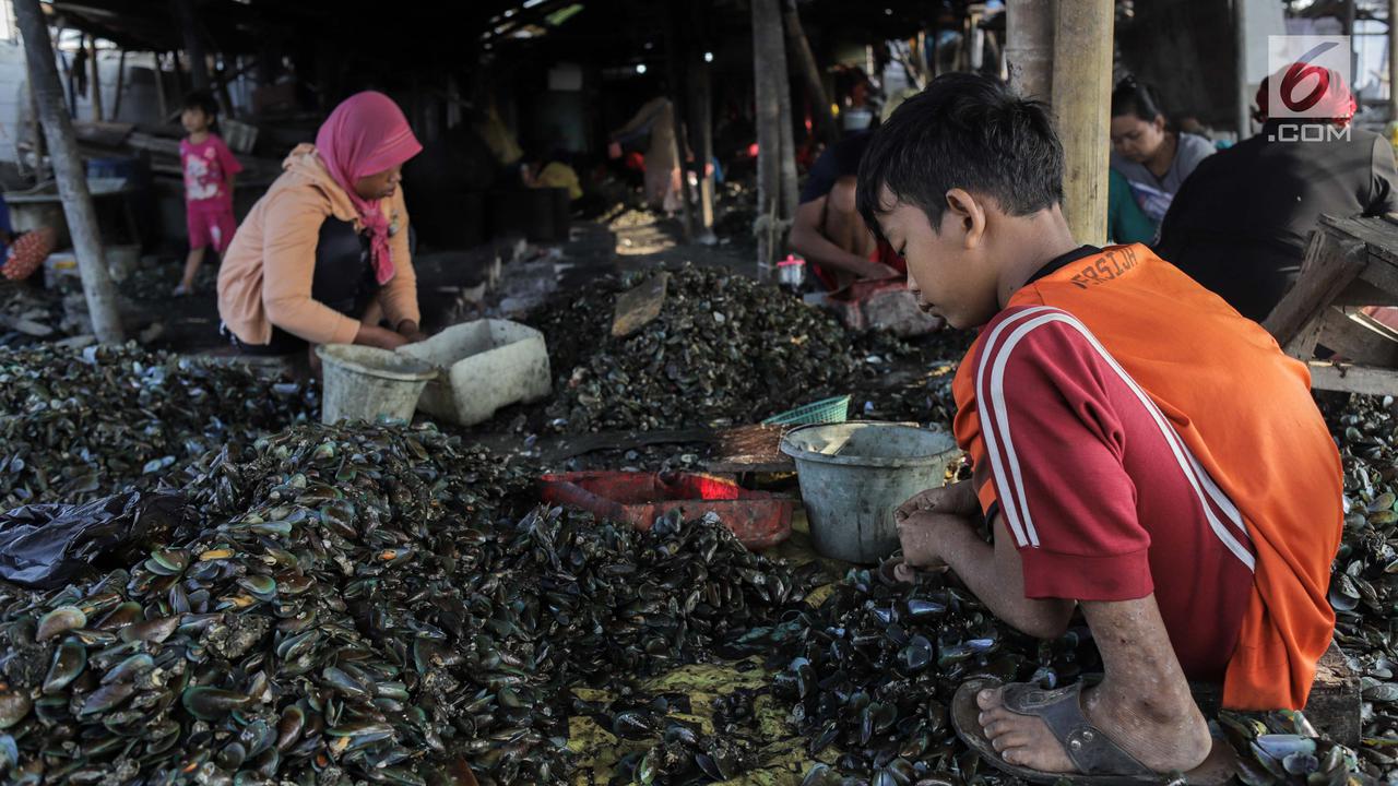 Potret Anak Pengupas Kerang yang Menemani Ibunya Bekerja
