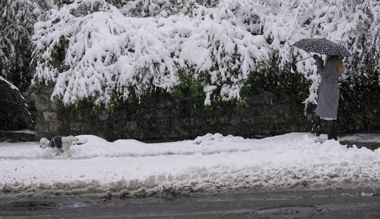 Di Kroasia dan Montenegro, angin kencang menghentikan sebagian besar jalur feri di sepanjang garis pantai Laut Adriatik dan menunda penerbangan dari ibukota Montenegro, Podgorica, ke Beograd. (AP Photo/Darko Vojinovic)