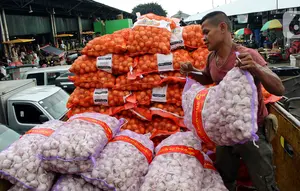 Ratusan Karung Bawang Impor Ilegal Masuk Lewat Natuna