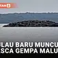 Heboh! Pulau Baru Muncul Pasca Gempa Magnitudo 7.9 di Tanimbar Maluku