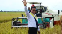 Menteri Pertanian Andi Amran Sulaiman mengatakan pihaknya sedang fokus menggarap ratusan ribu hektare lahan rawa dan pasang surut yang tersebar di Kalimantan dan Sumatera.