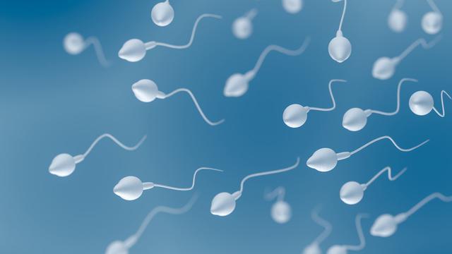 Pria dengan Jumlah Sperma Sedikit Rentan Kena Penyakit? (Vchal/Shutterstock)