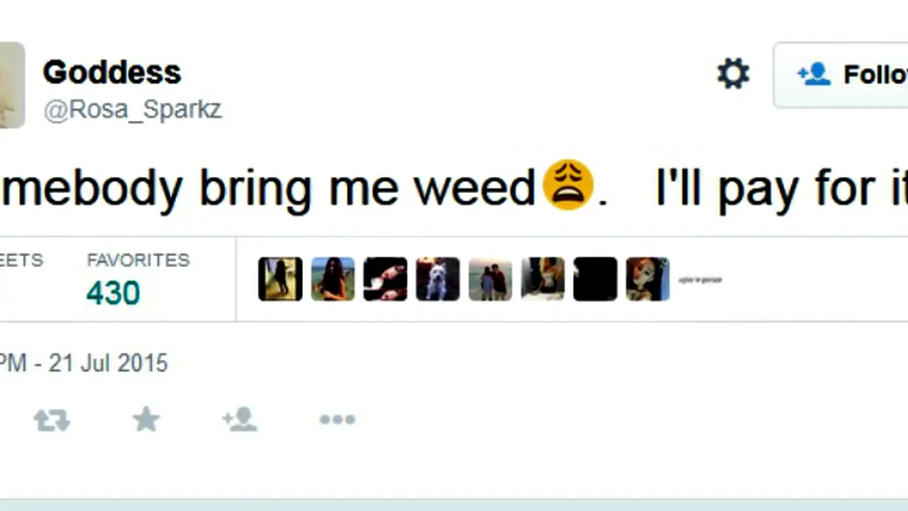 Pengguna Twitter Nekat Mencari Daun Ganja di Dunia Maya