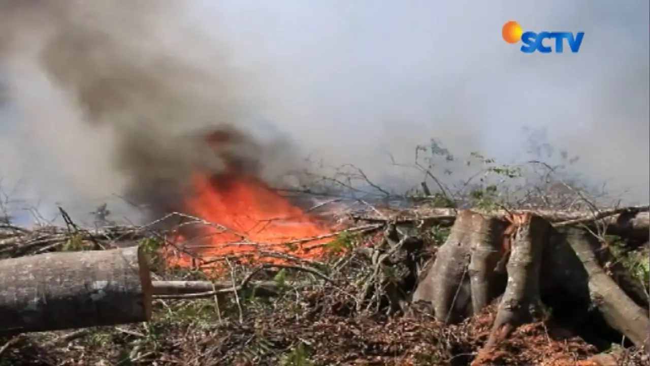 Kebakaran Hutan di Aceh, Warga Mulai Terpapar Sesak Napas