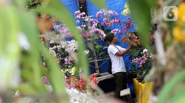 Pedagang menata bunga-bunga yang dijual pada pameran Keanekaragaman Hayati Nusantara Expo di Lapangan Banteng, Jakarta, Sabtu (30/11/2019). Pameran dalam rangka memperingati Hari Cinta Puspa dan Satwa Nasional 2019 ini berlangsung hingga 8 Desember mendatang. (Liputan6.com/Helmi Fithriansyah)