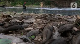 Akibatnya pasokan air bersih yang sumber air utamanya berasal dari Kali Bekasi di wilayah Bekasi terganggu. (merdeka.com/Arie Basuki)