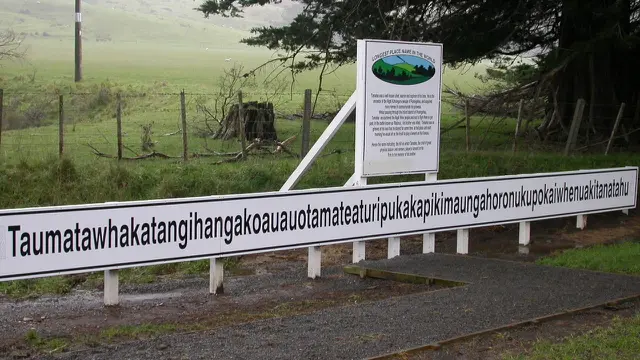Taumata