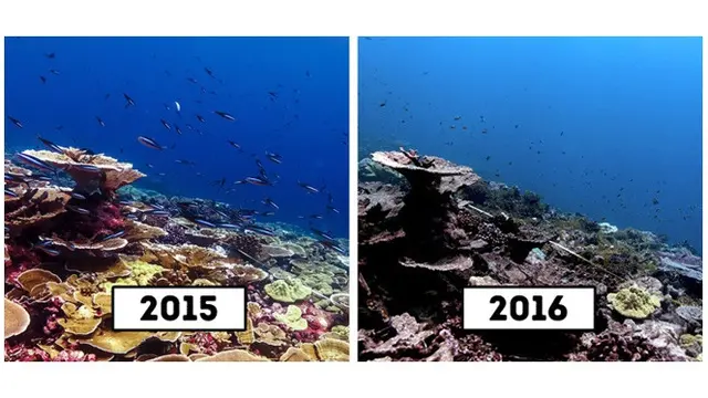 10 Wisata Populer Ini Ditutup Akibat Ulah Manusia