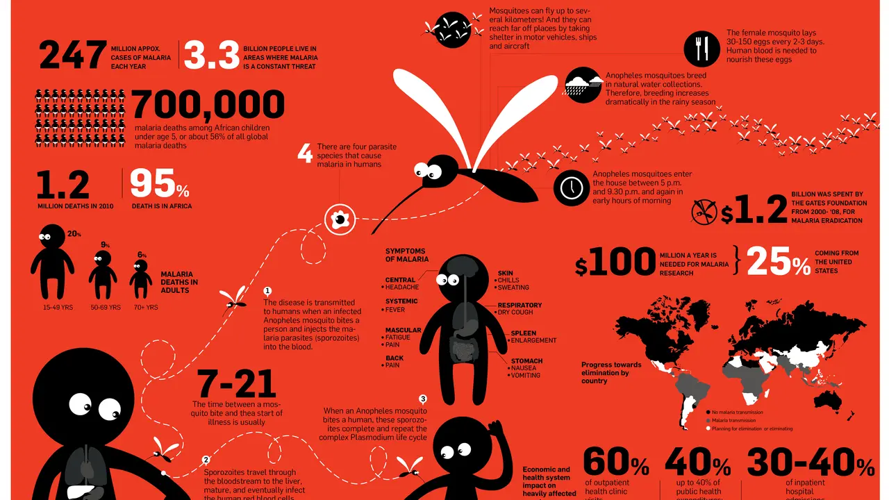 Tiga Hal tentang Malaria yang Perlu Anda Ketahui