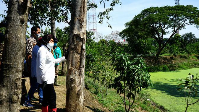 Wali Kota Surabaya Tri Rismaharini (Risma) meresmikan taman hutan raya Lempung pada 19 November 2020. (Foto: Dok Humas Pemkot Surabaya)