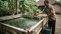Cara Budidaya Ikan Nila di Kolam Terpal, 7 Langkah Pratis untuk Skala Rumahan