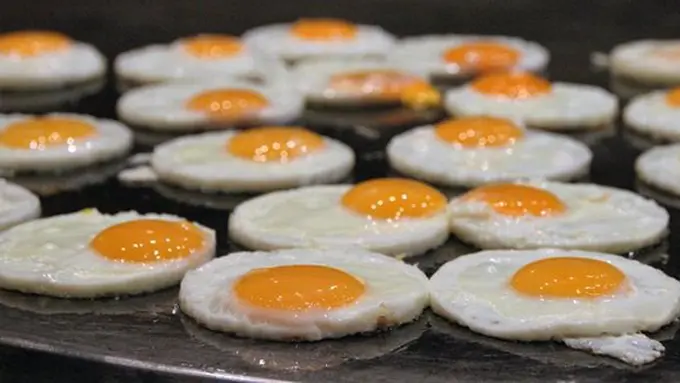 Kandungan putih telur/copyright Pexels.com