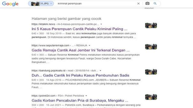 Gambar Tangkapan Layar Penelusuran Foto Menggunakan Google Images.