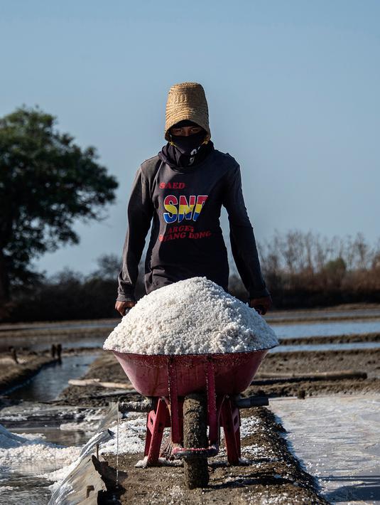 Petani membawa garam dengan gerobak dorong saat panen di Sidoarjo, 16 September 2019. Menurut petani, meningkatnya produksi garam saat kemarau dari lima ton menjadi delapan ton per minggu, mengakibatkan harga garam di tingkat petani tradisional untuk kualitas nomor satu menurun. (Juni Kriswanto/AFP)