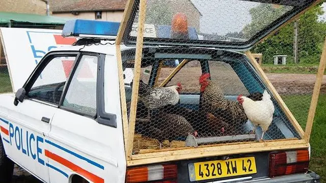 Ada-ada Saja, 5 Kreasi Mobil yang Beralih Fungsi Ini Bikin Ngakak Warganet