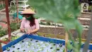 Kelompok Wanita Tani memeriksa sayuran yang ditanam di pekarangan Kompleks Pondok Arum RT 05/02, Kecamatan Karawaci, Kota Tangerang, Banten, Rabu (15/7/2020). Selain dinikmati warga, hasil panen juga kerap dijual ke pasar. (Liputan6.com/Angga Yuniar)